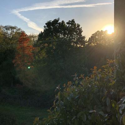 @ Hill Garden and Pergola