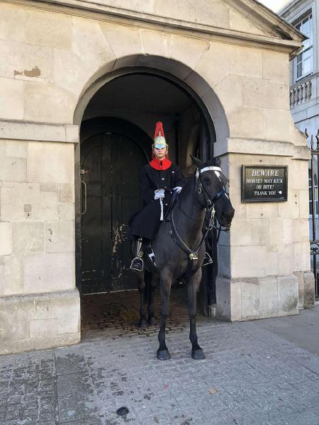 @ Household Cavarly Guards